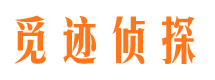 龙岗市婚外情调查